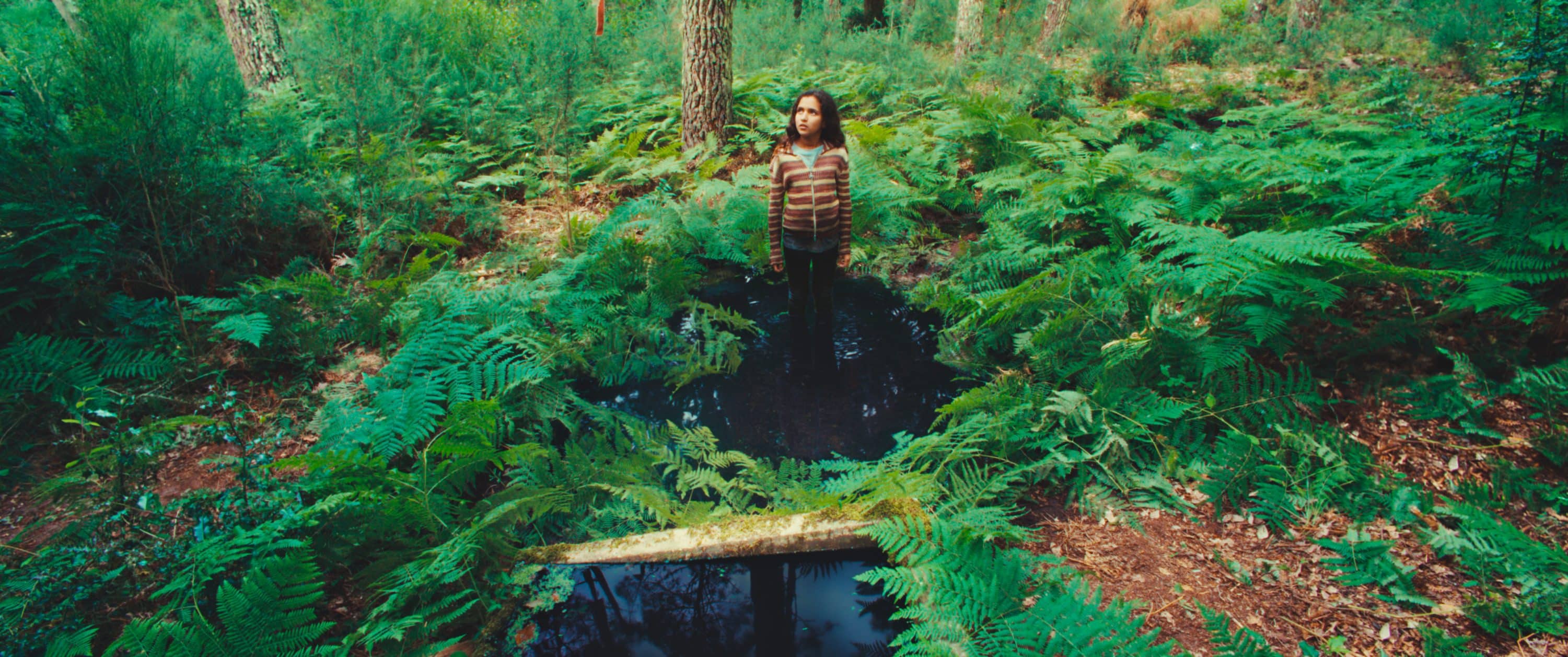 Une jeune fille debout dans un ruisseau, au milieu des fougères.